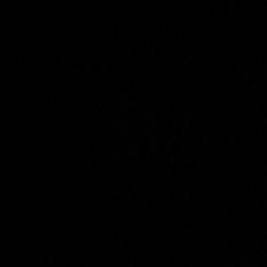 Meet your Posher, Jerry